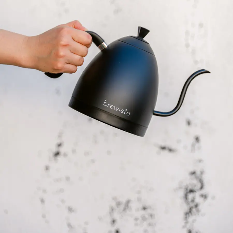 Brewista Artisan Variable Temperature Electric Kettle Matte Black